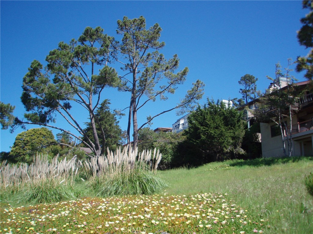 Marine Terrace(440) - Land