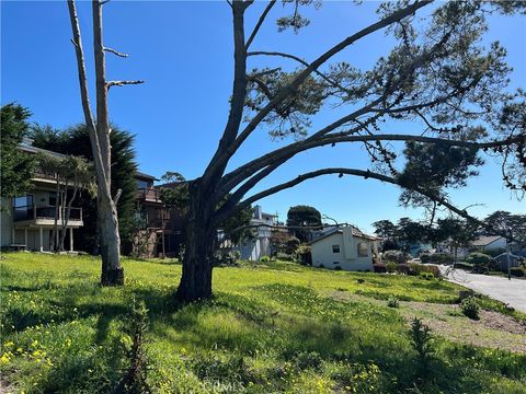 Tiny photo for 1970 Emmons Road, Cambria, CA 93428 (MLS # SC25173419)