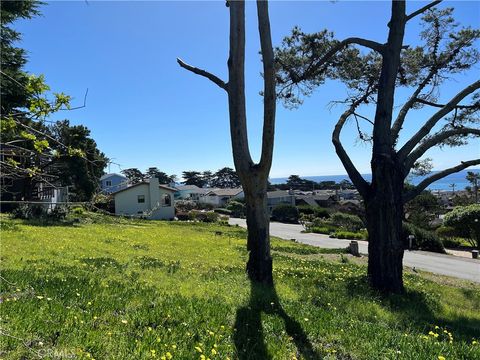 Tiny photo for 1970 Emmons Road, Cambria, CA 93428 (MLS # SC25173419)