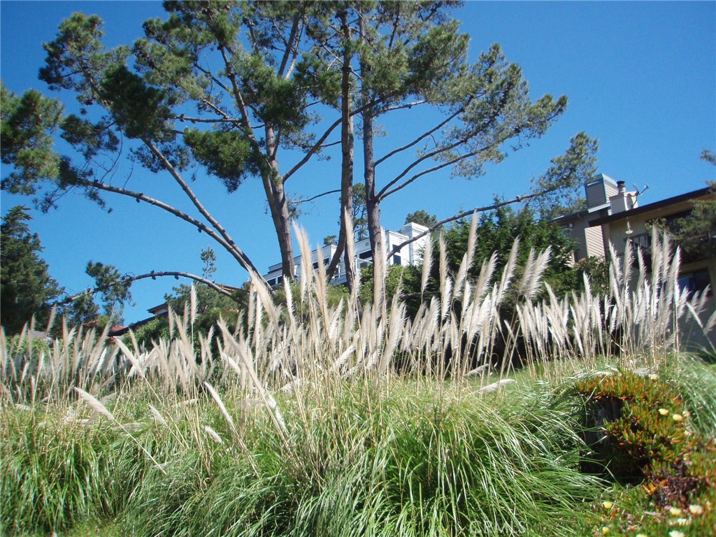 Marine Terrace(440) - Land