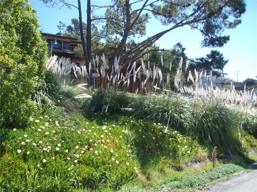 Marine Terrace(440) - Land