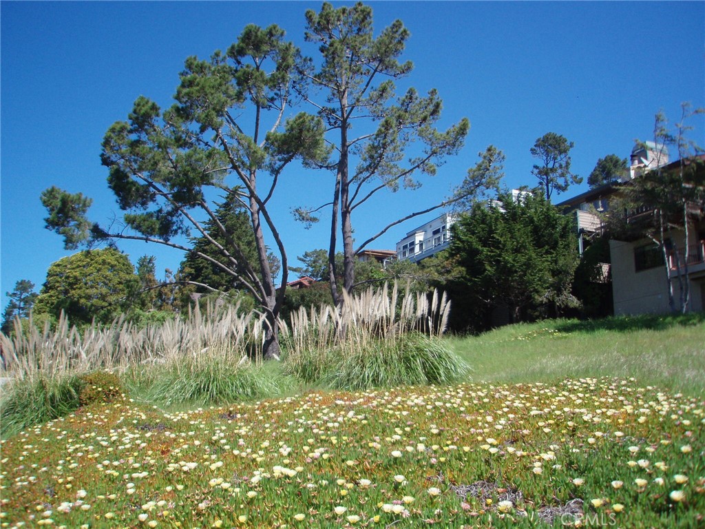 Marine Terrace(440) - Land