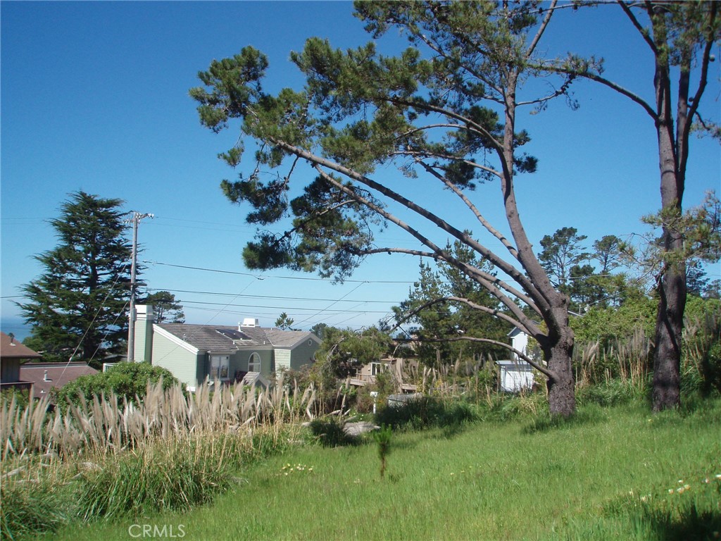 Marine Terrace(440) - Land