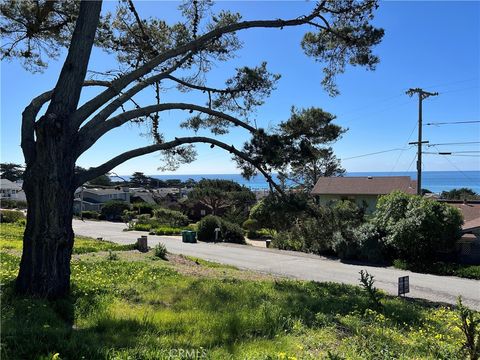 Tiny photo for 1970 Emmons Road, Cambria, CA 93428 (MLS # SC25173419)