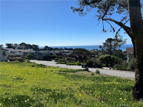 Photo of 1970 Emmons Road, Cambria, CA 93428 (MLS # SC25173419)