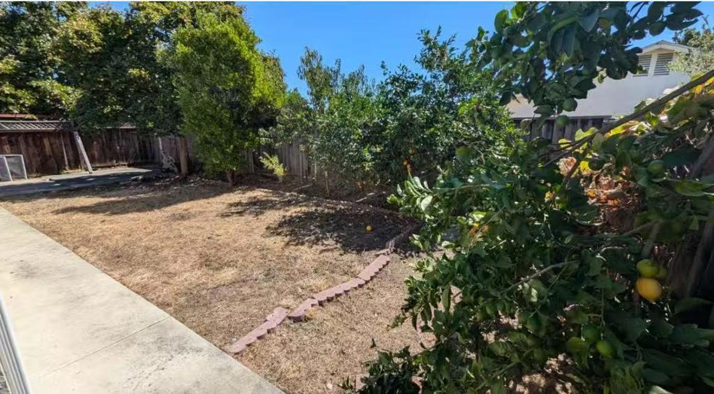 1886 Pine Hollow Circle