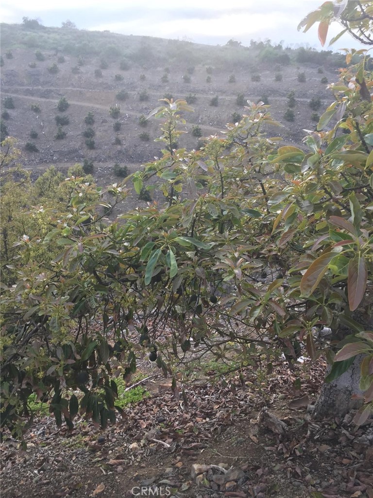 0 Via Barranca