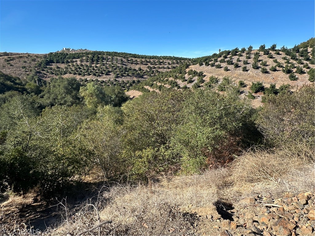 0 Via Barranca
