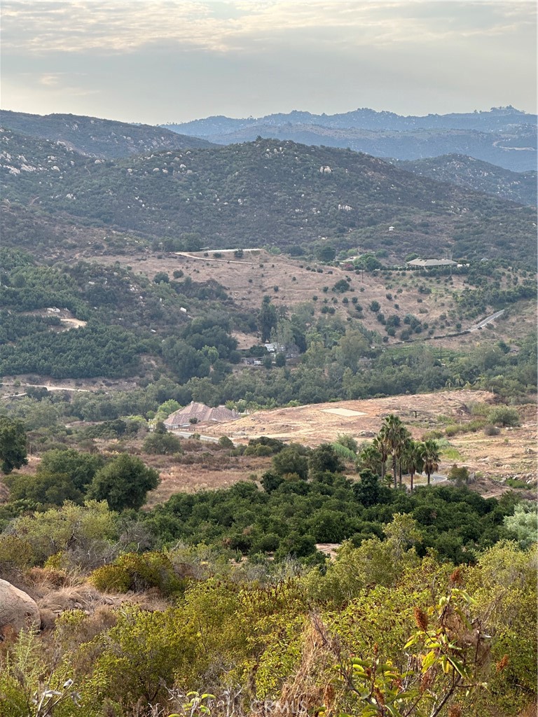 Gentle rolling to hilly 20.20 acres perfect for custom home with airplane views, with room for citrus or avocados, fronts paved road and city water in front of the property. Close to Shopping in Temecula or Fallbrook for shopping. Great parcel with extreme amount of potential. Water meter has been paid for but needs to have a back flow valve installed before Rancho California Water District will install meter.