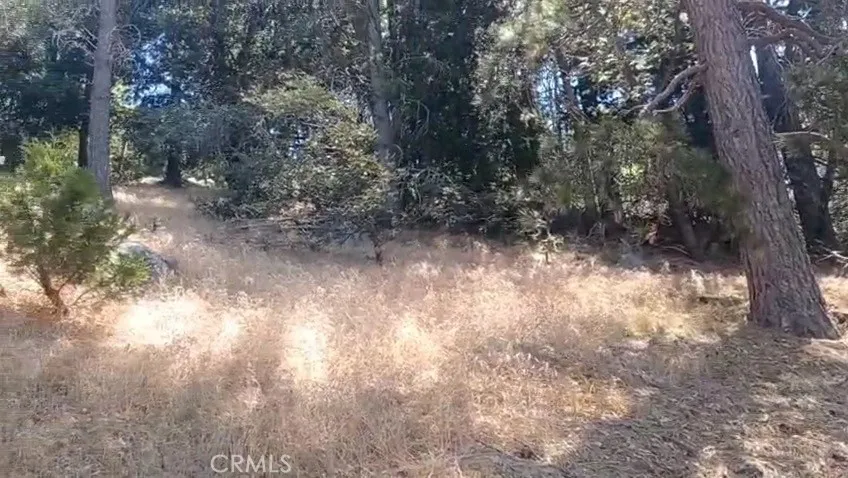 Twin Peaks, California 92391, United States, ,Land,Active,190950