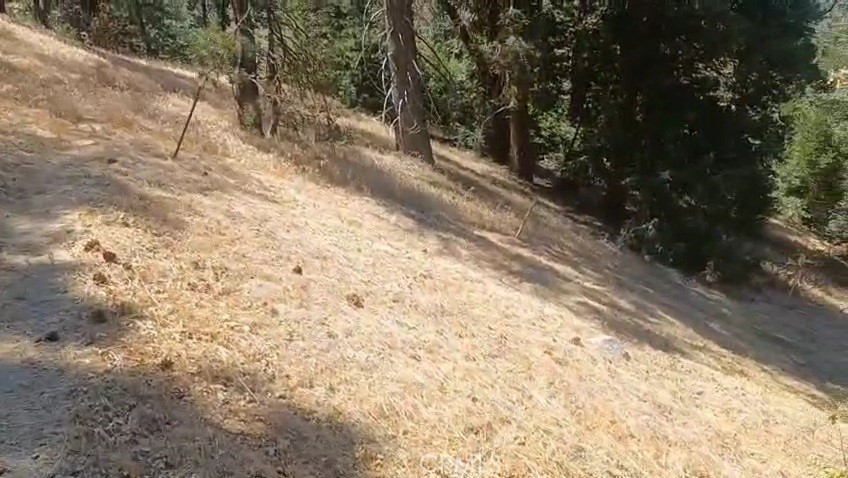 Twin Peaks (TWIN) - Land