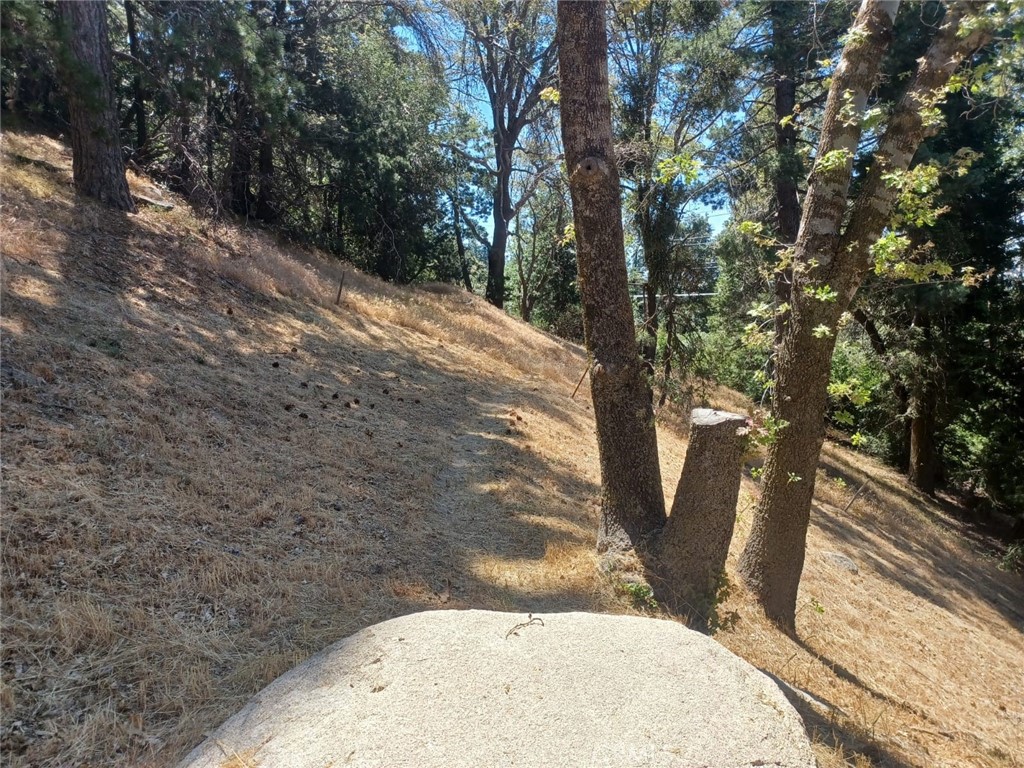 Twin Peaks (TWIN) - Land