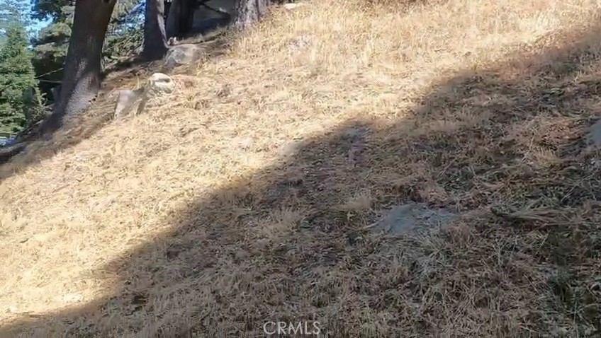 Twin Peaks (TWIN) - Land