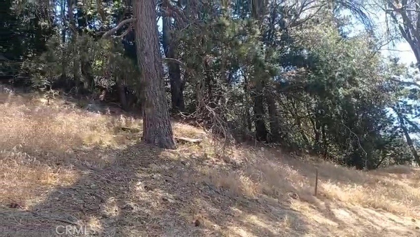 Twin Peaks (TWIN) - Land