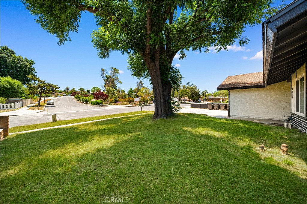 3942 Willow Lane