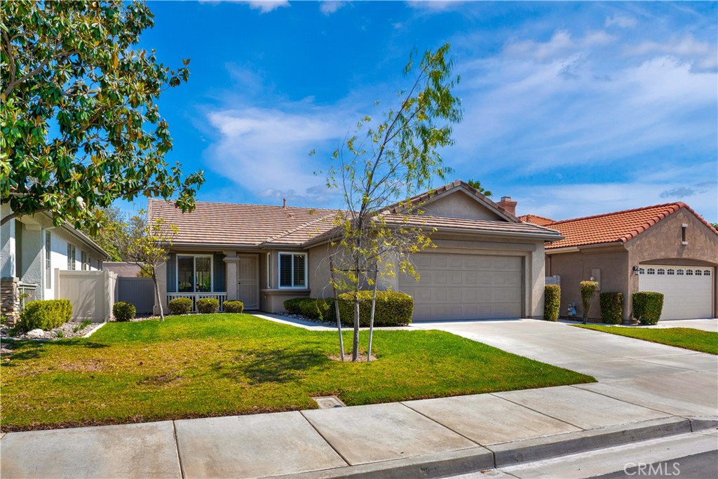 28956 Raintree