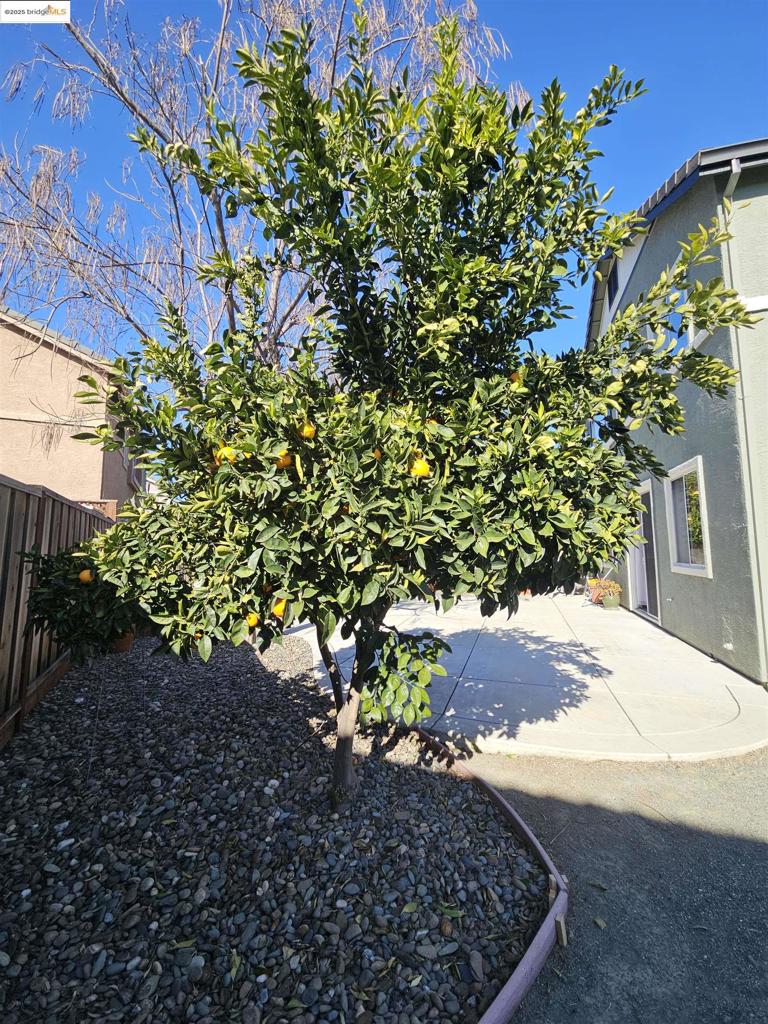 BRENTWOOD - Residential Lease