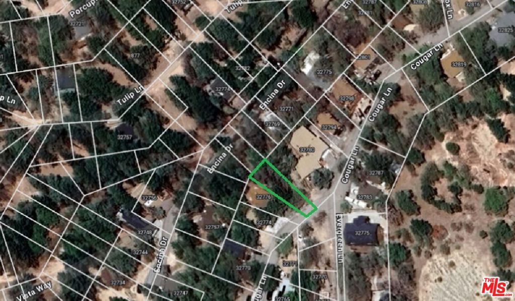 Vacant Land, Great investment opportunity in Runnig Springs. Parcel Number 0328-153-11-0000, You can search it by Latitude, Longitude: 34.210194, -117.088222 or 3412'36.7"N 11705'17.6"W