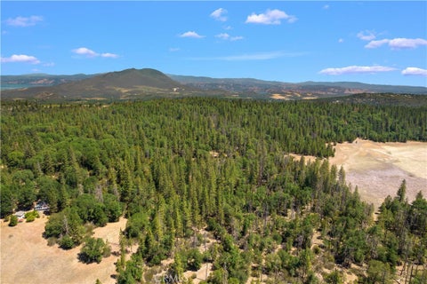 Photo of 6736 Harrington Flat Road, Loch Lomond, CA 95461 (MLS # LC21085852)