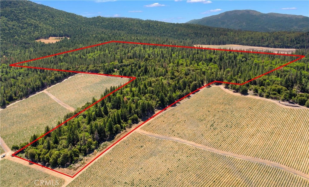 6736 Harrington Flat Road