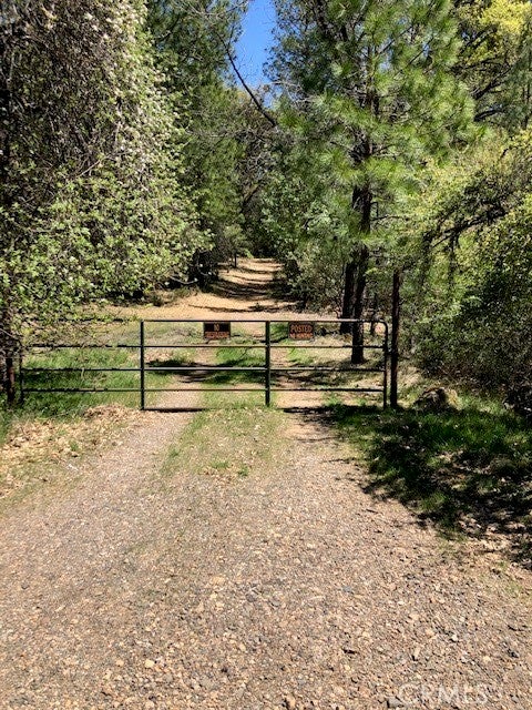 6736 Harrington Flat Road