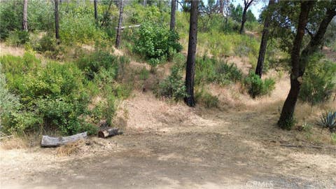 Photo of 0 Feather Ridge Way, Berry Creek, CA 95916 (MLS # OR26117142)