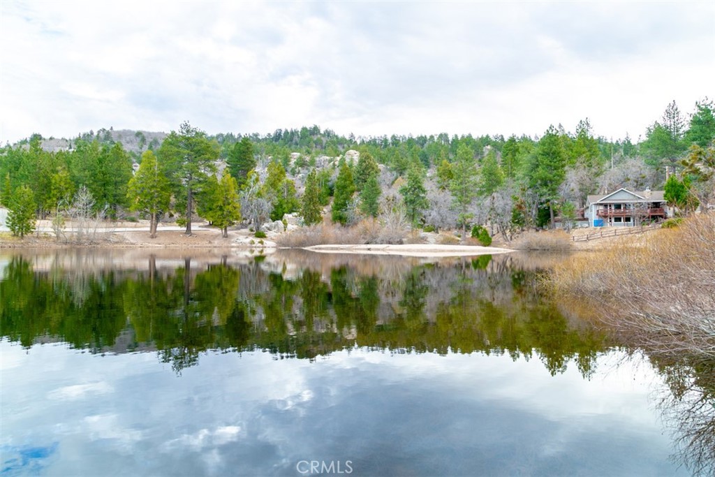 33303 Lake View Drive