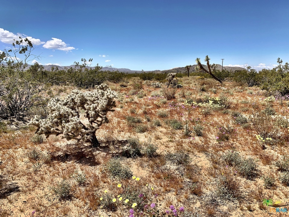 Not Applicable-1 - Land