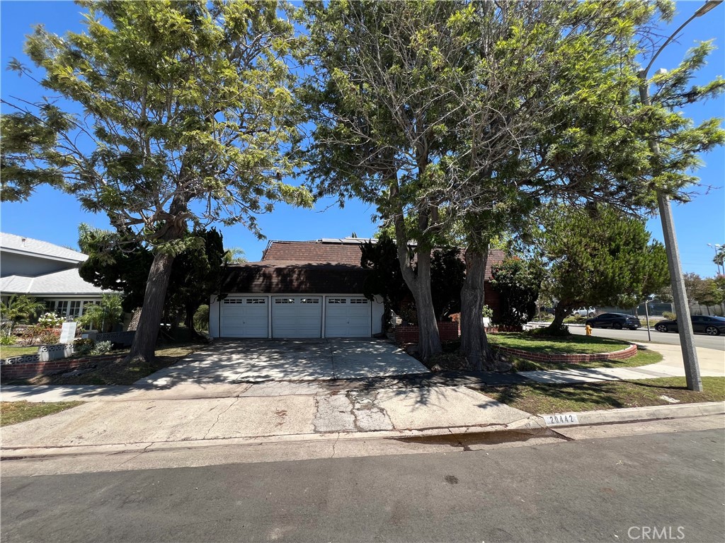 20442 Craimer Lane