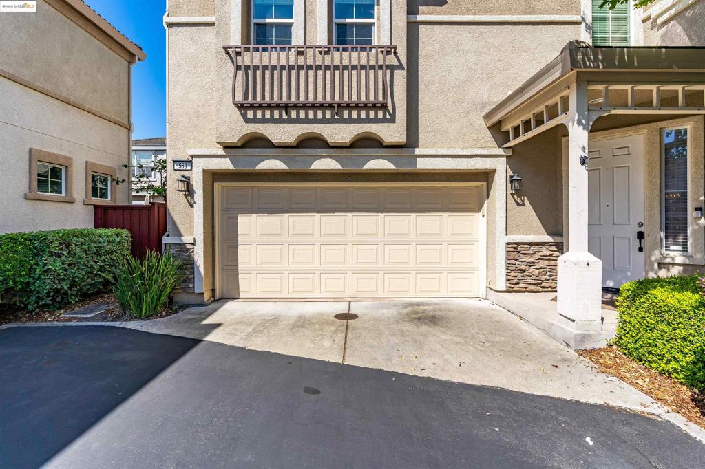 569 Primitivo Ct