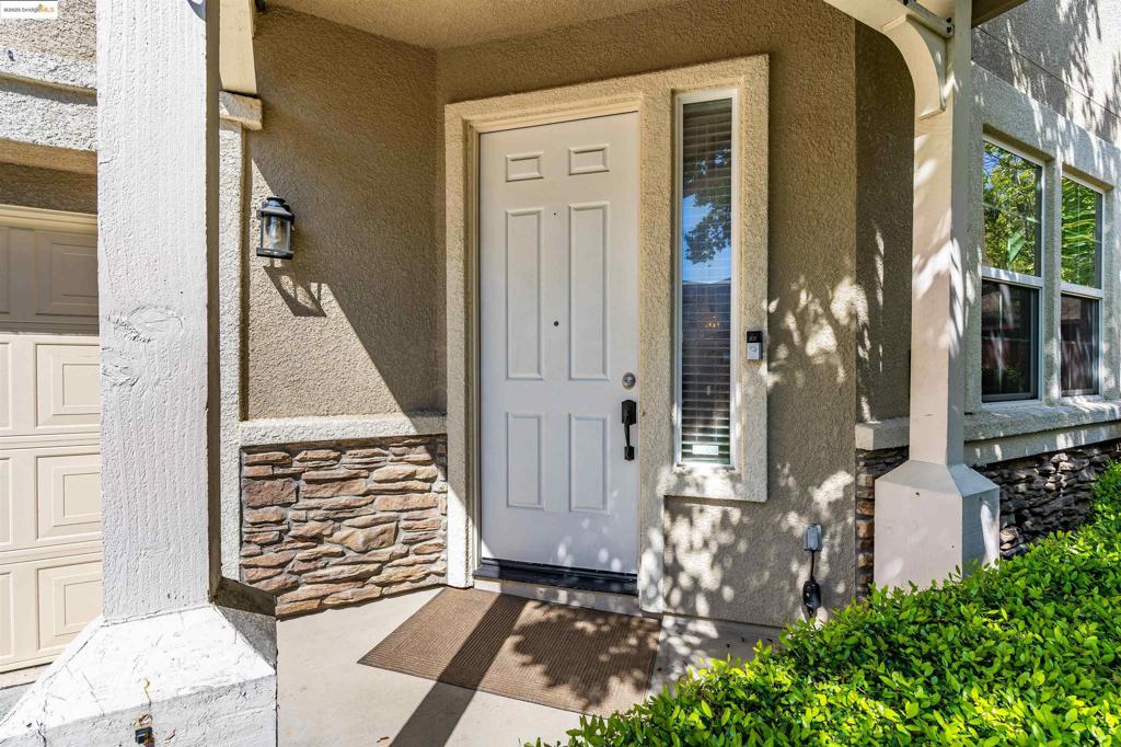 569 Primitivo Ct