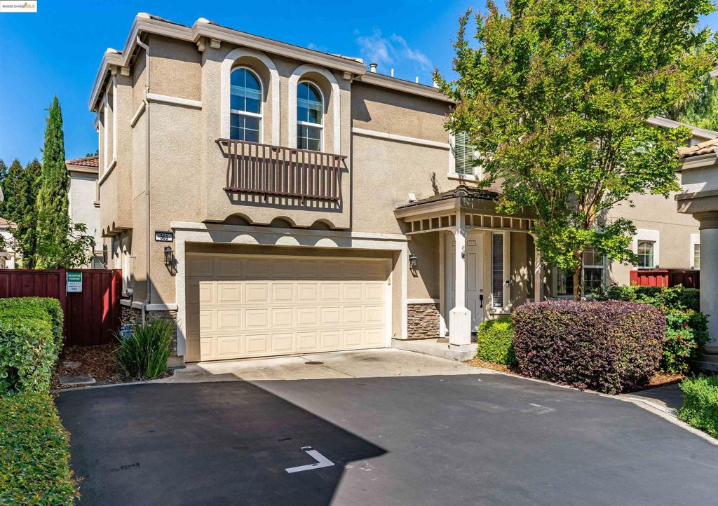 569 Primitivo Ct