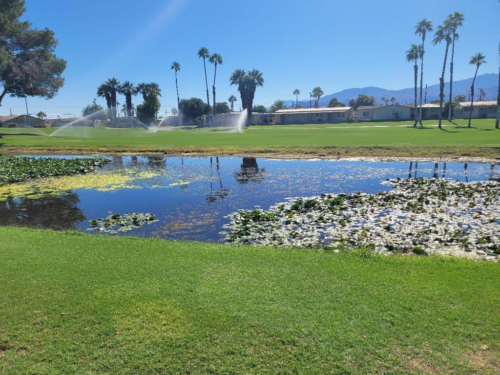 Tri Palm Estates - Manufactured In Park