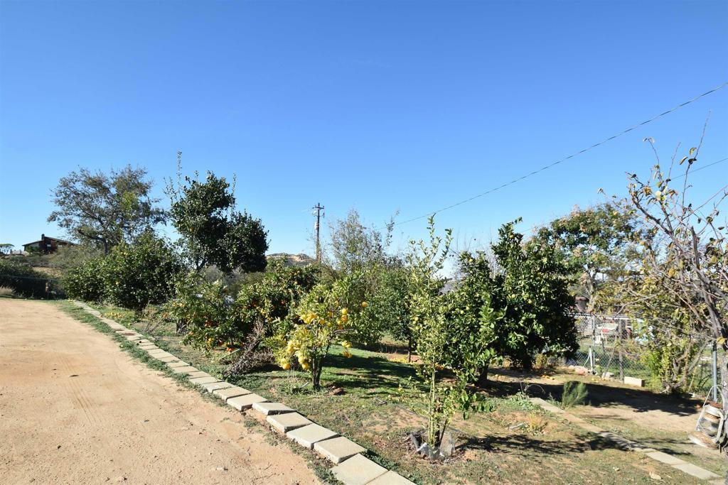 15519 Skyline Truck Trail