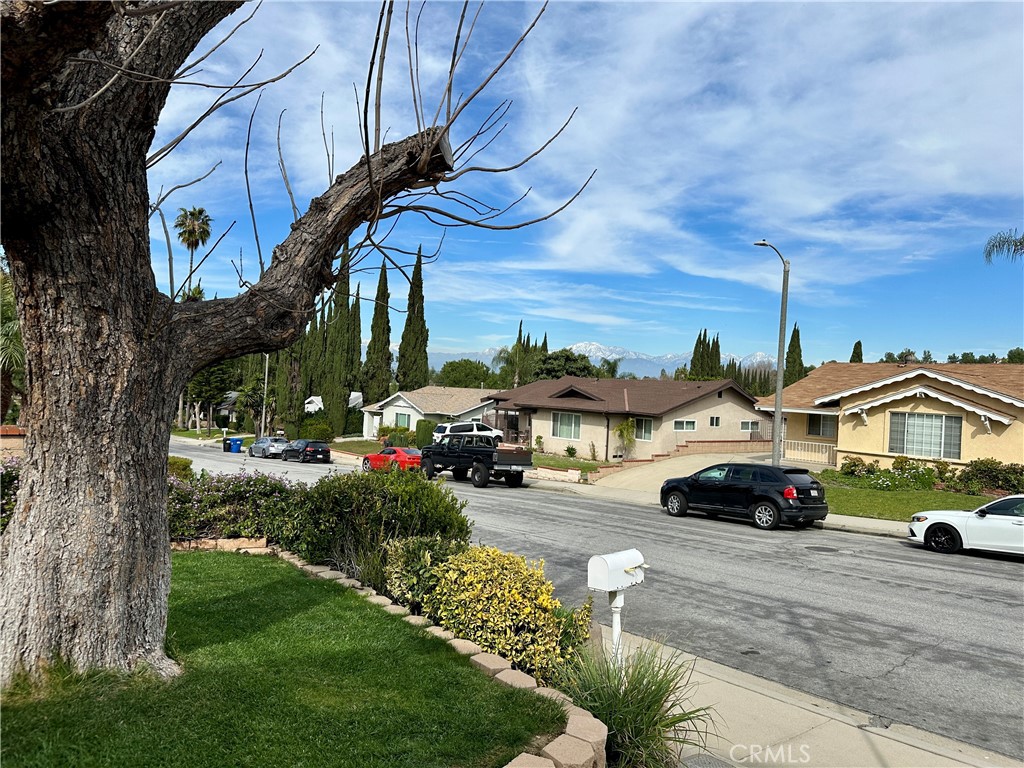 2937 Blandford Drive