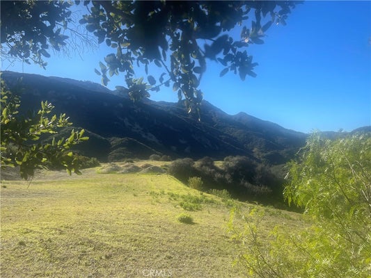25066 MULHOLLAND HWY, CALABASAS, CA 91302 - Image ee5cc64bd8347e3c4c9e7147724acdf1/3847307829