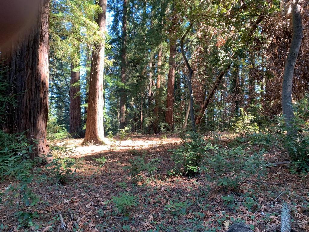 Flat buildable land in Los Gatos!!! Don't miss this fabulous opportunity to build your dream home just 15 minutes from downtown LG with top-rated Los Gatos schools! Nestled amongst beautiful redwood trees, with public water and electric at the street, this lower Redwood Estates property is the perfect place for someone looking to build their dream home in the mountains but stay within touching distance of all things Silicon Valley. The Redwood Estates Community includes parks & playgrounds, community pool, post office, market and Nonno's Restaurant. Can be combined with the adjacent lot at 00 Santa Ana Road, then you will have over half an acre of flat buildable land!