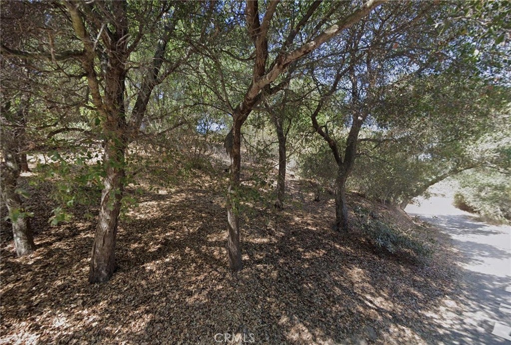625 Falls Drive