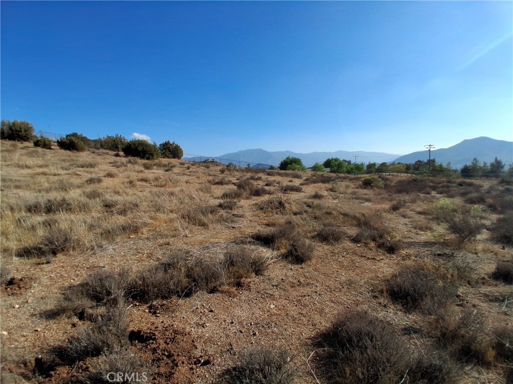 Custom Acton (CACTO) - Land