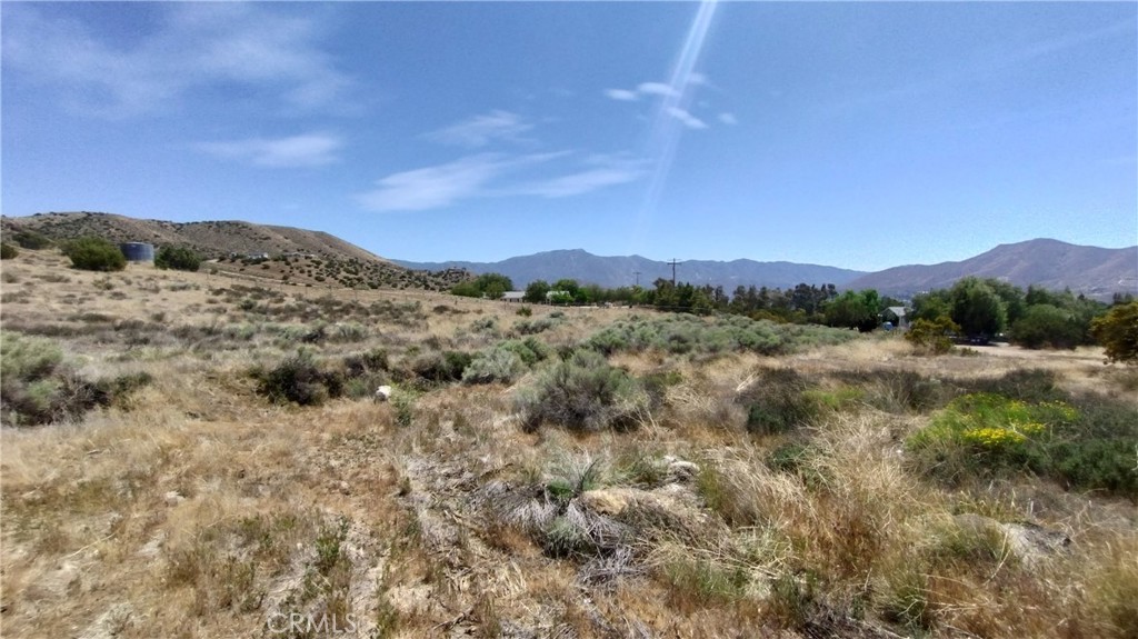 Custom Acton (CACTO) - Land