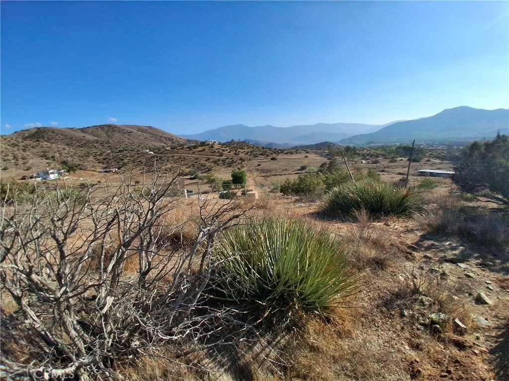 Custom Acton (CACTO) - Land