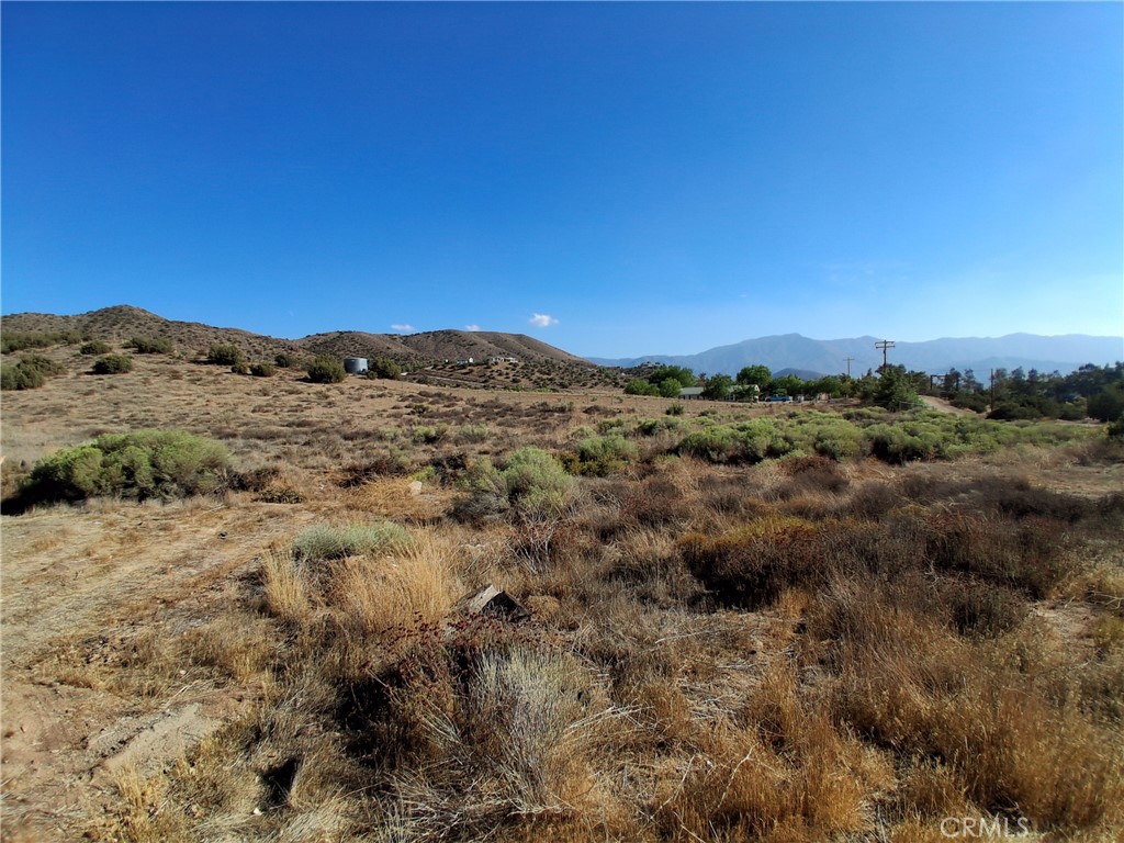 Custom Acton (CACTO) - Land