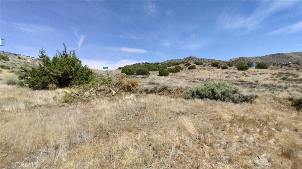 Custom Acton (CACTO) - Land