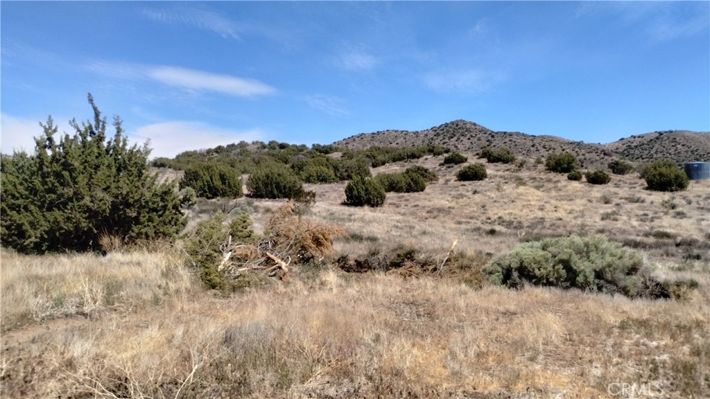 Custom Acton (CACTO) - Land