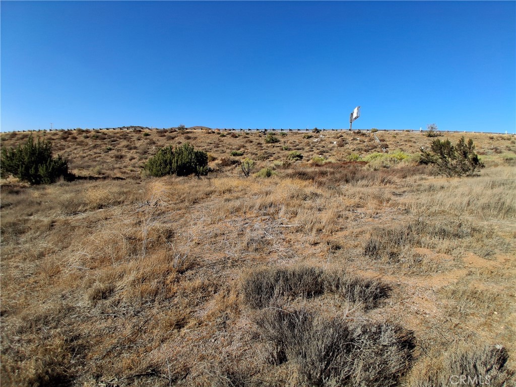 Custom Acton (CACTO) - Land