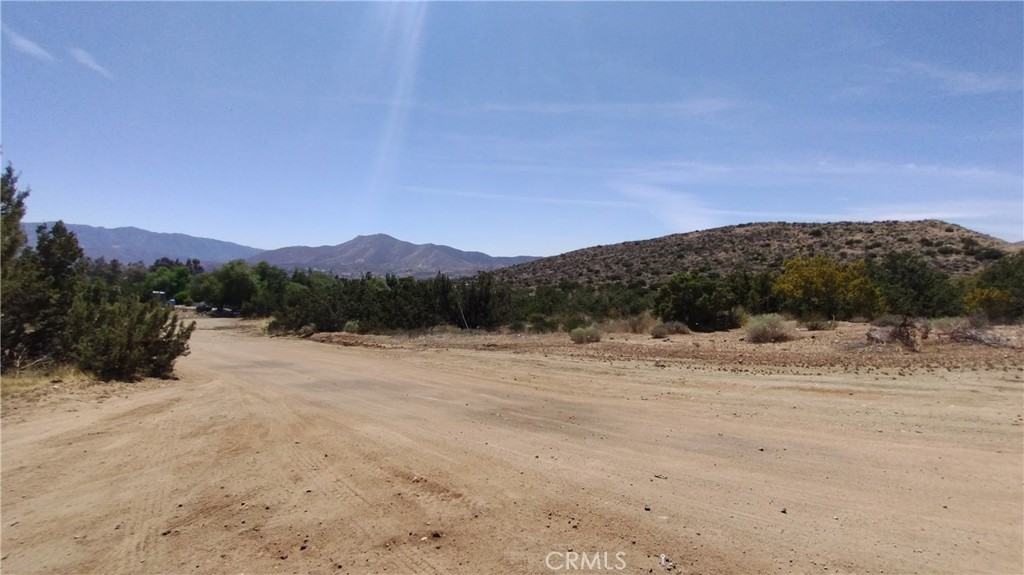 Custom Acton (CACTO) - Land