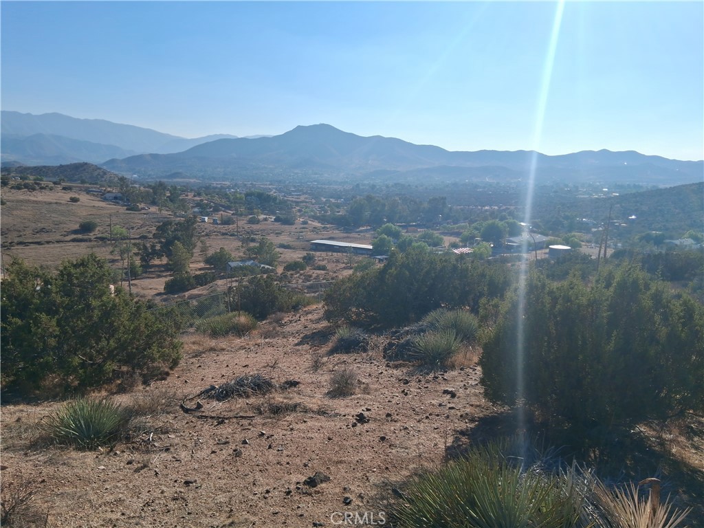 Custom Acton (CACTO) - Land