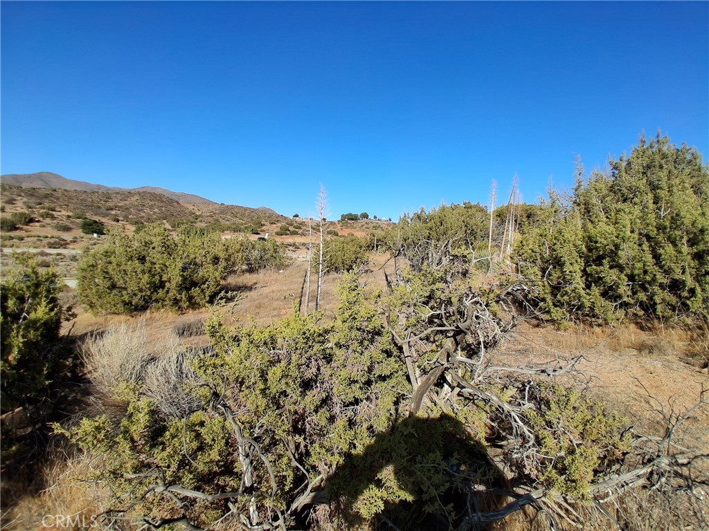 Custom Acton (CACTO) - Land