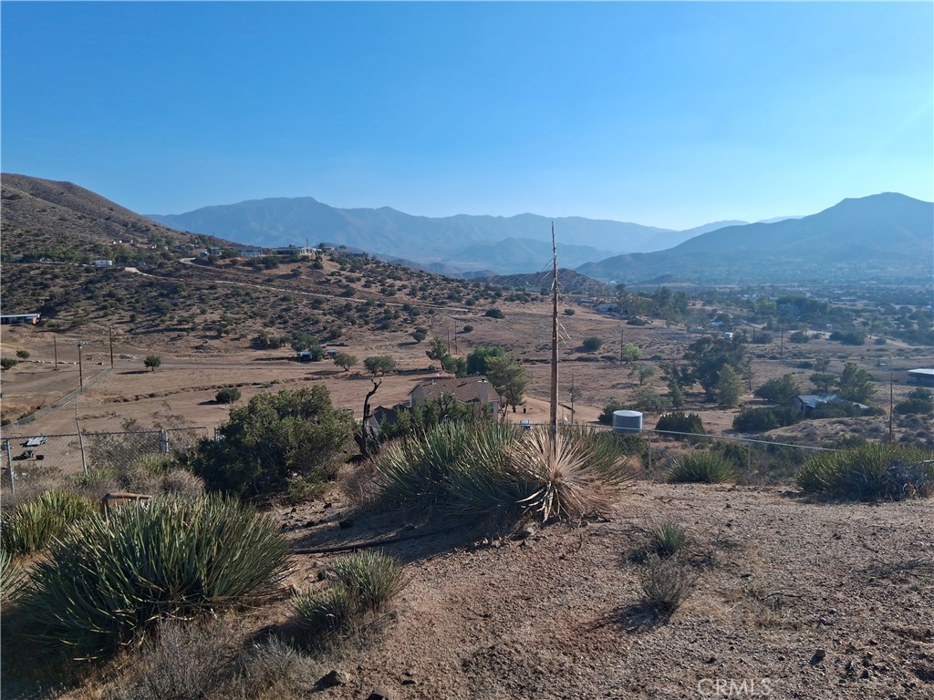 Custom Acton (CACTO) - Land