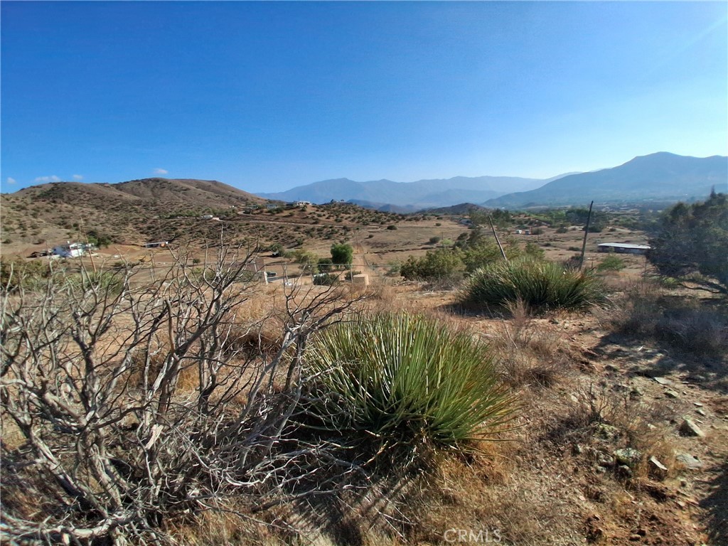 Custom Acton (CACTO) - Land